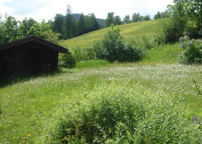Frenes Seefeld in Tirol