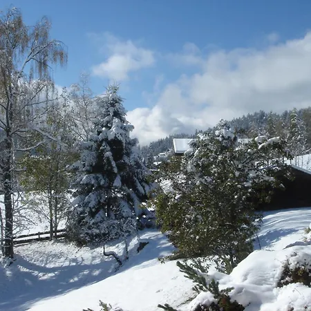 Frenes 蒂罗尔-泽费尔德